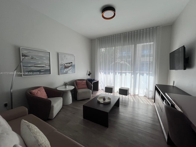 living room with dark hardwood / wood-style flooring