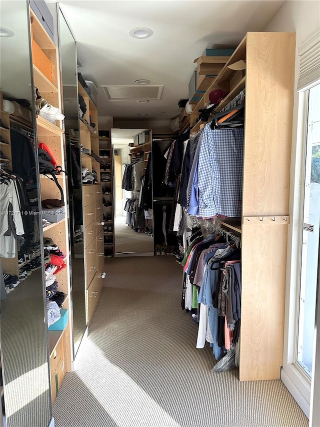 walk in closet with carpet