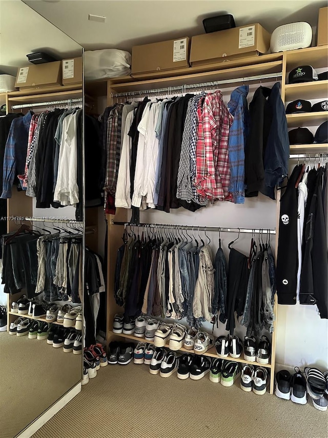 spacious closet with carpet floors