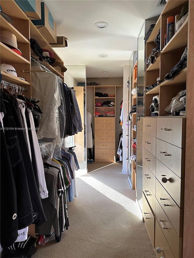 spacious closet featuring light colored carpet