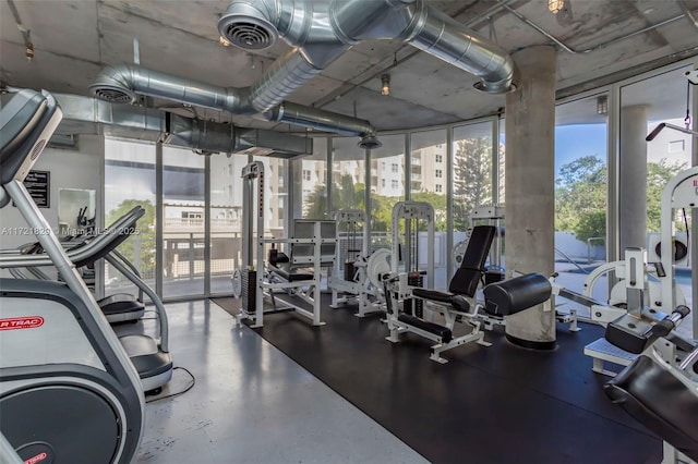 gym featuring expansive windows