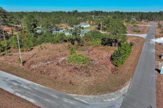 Listing photo 3 for 733 Bumby St E, Lehigh Acres FL 33974