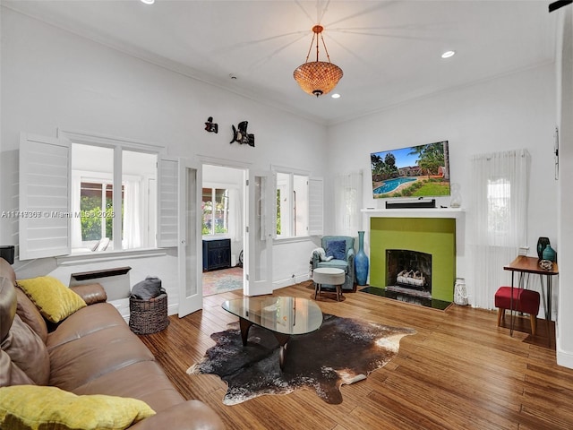 living room featuring hardwood / wood-style floors and ornamental molding