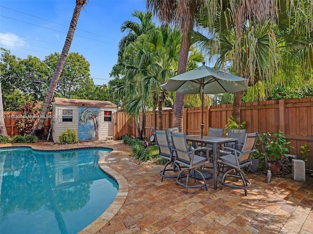 view of swimming pool with a patio and a shed