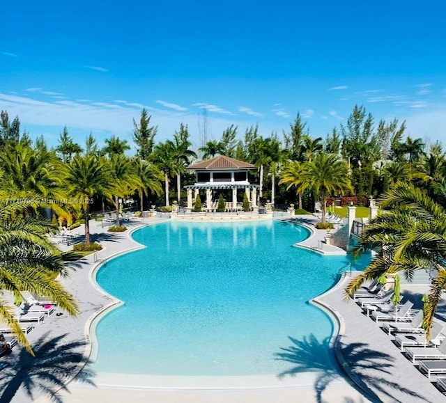 view of pool featuring a patio