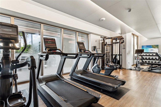 gym with wood-type flooring