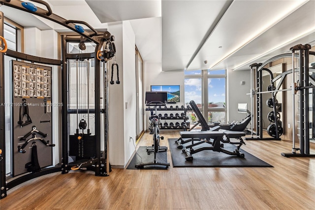 workout area featuring hardwood / wood-style flooring and a wall of windows