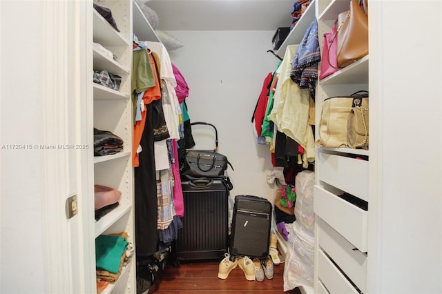 walk in closet with dark hardwood / wood-style flooring