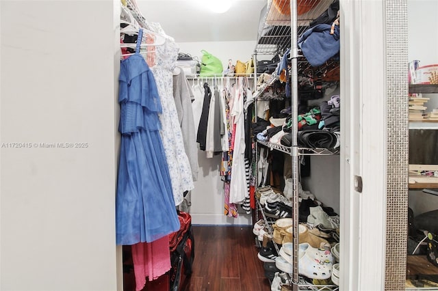 spacious closet with dark hardwood / wood-style floors