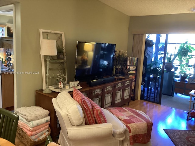 living room with hardwood / wood-style floors and a textured ceiling