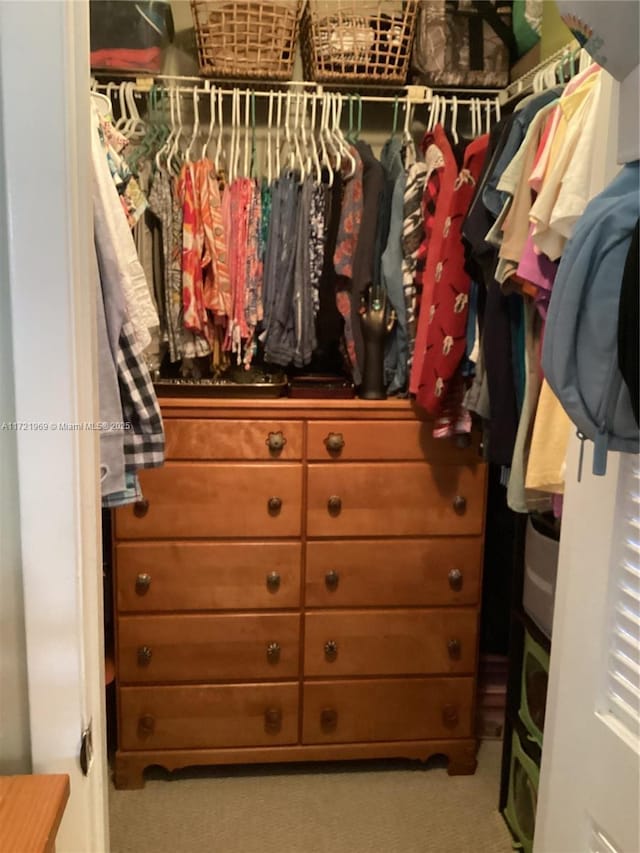 spacious closet featuring light colored carpet