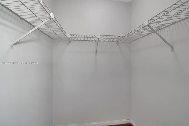 view of walk in closet