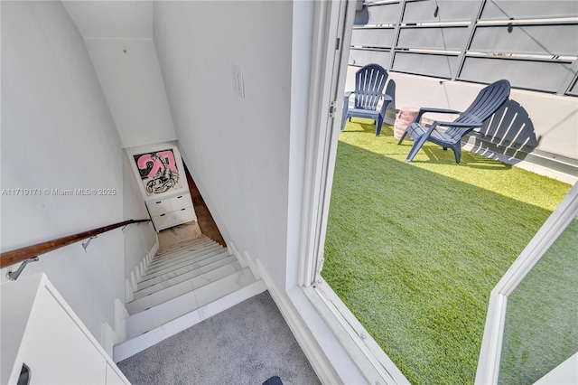 staircase with carpet