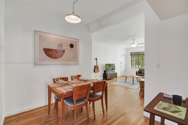 dining space with ceiling fan and light hardwood / wood-style flooring