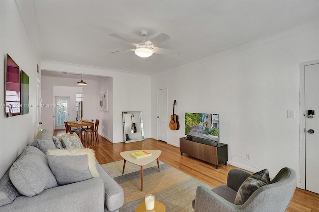 living room featuring wood-type flooring, ceiling fan, and ornamental molding