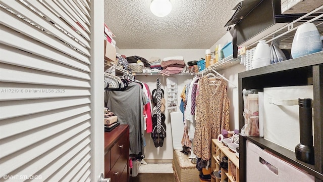 view of walk in closet