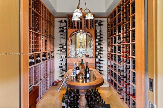 wine cellar with a raised ceiling