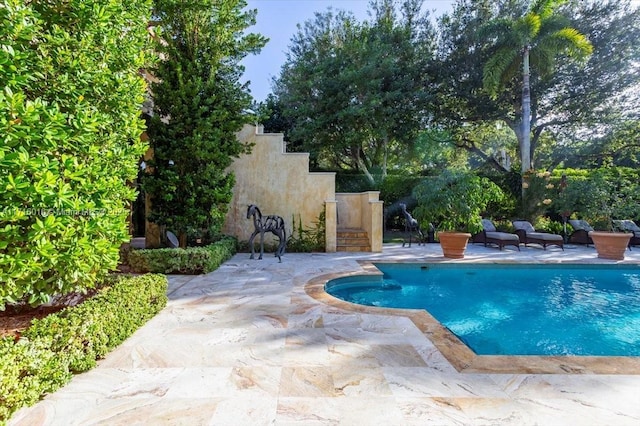 view of pool with a patio area