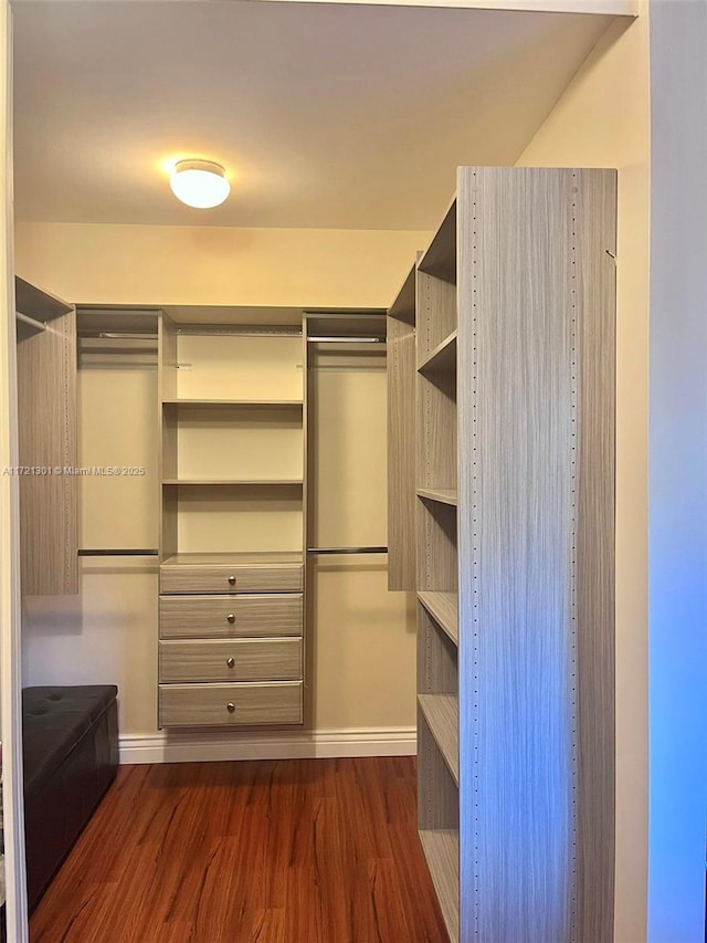 spacious closet with dark hardwood / wood-style floors