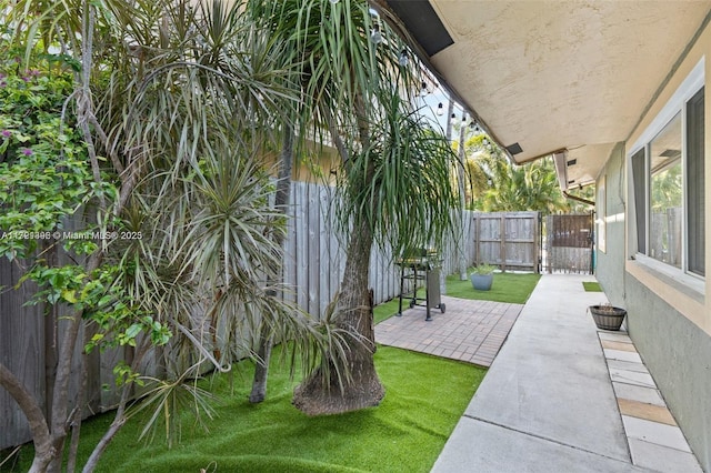 view of yard featuring a patio area