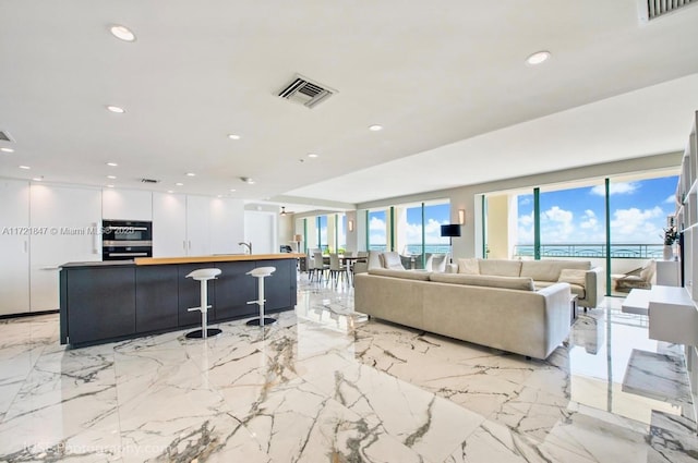 living room featuring sink