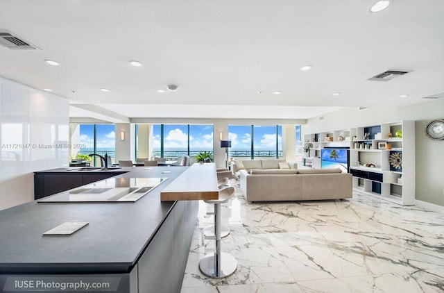 living room with sink