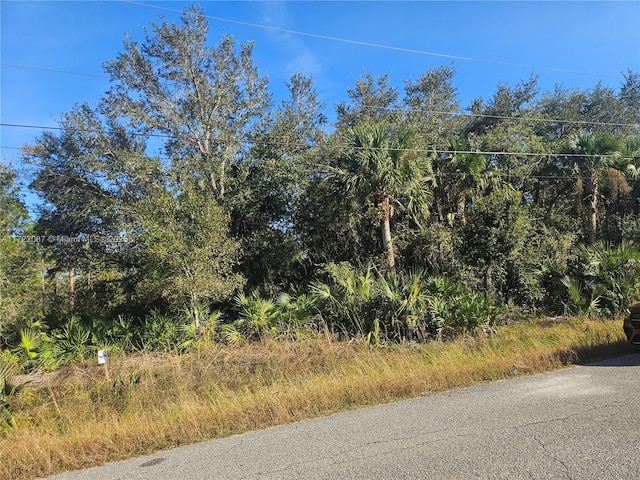 Listing photo 3 for 618 Thompson Ave, Lehigh Acres FL 33972