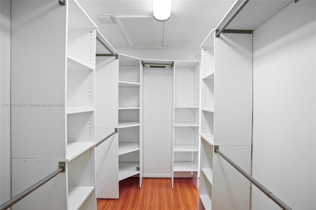 corridor with light hardwood / wood-style floors