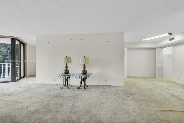 spare room featuring floor to ceiling windows, light carpet, and a textured ceiling