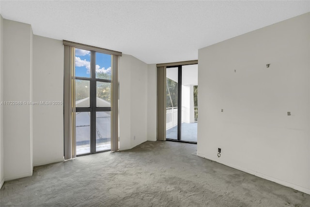 carpeted empty room with floor to ceiling windows and a textured ceiling