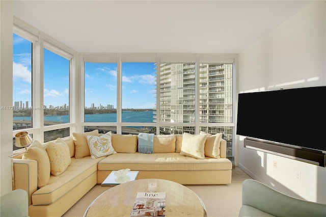 carpeted living room with a wall of windows