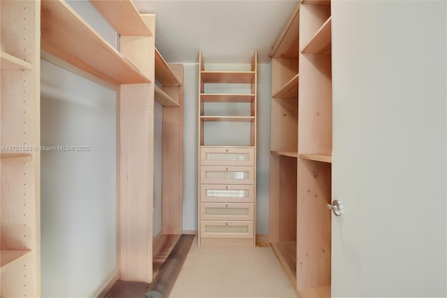 view of walk in closet