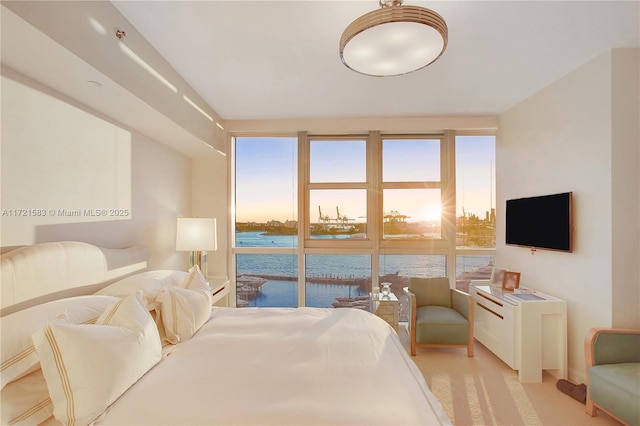 bedroom featuring floor to ceiling windows and light colored carpet