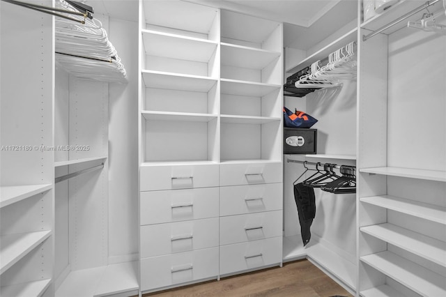 spacious closet with wood-type flooring