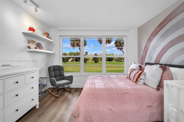 bedroom with hardwood / wood-style floors and track lighting