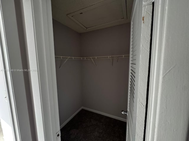 spacious closet with carpet floors