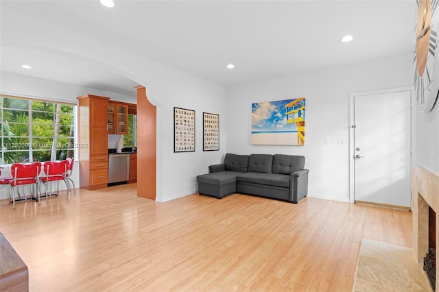 living room featuring light hardwood / wood-style floors