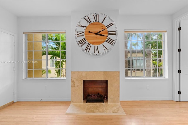 living room with a premium fireplace and light hardwood / wood-style flooring