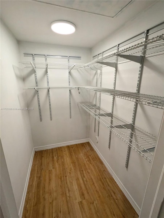 walk in closet featuring hardwood / wood-style floors