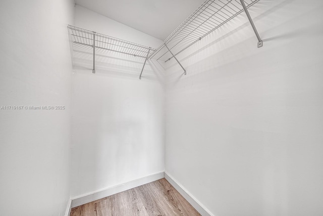 spacious closet featuring hardwood / wood-style floors