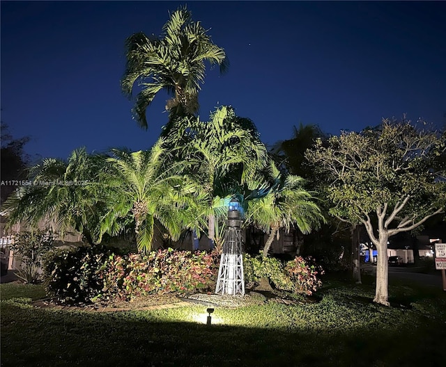 view of yard at night