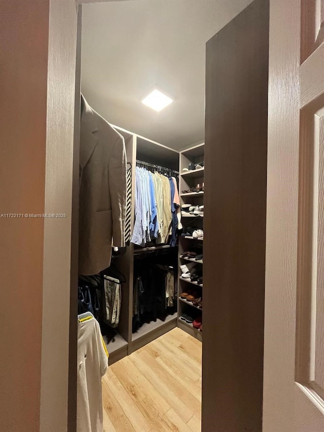 spacious closet with hardwood / wood-style flooring