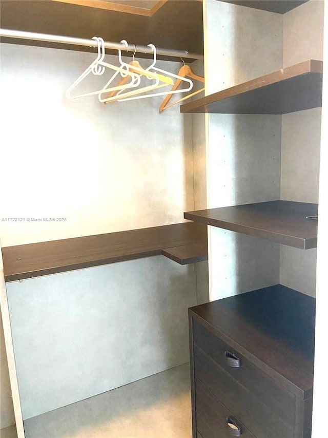 view of spacious closet