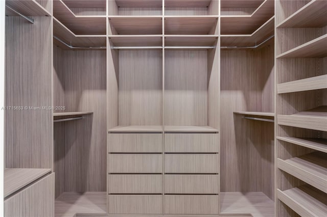 view of spacious closet