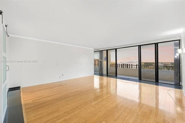 empty room with floor to ceiling windows and light hardwood / wood-style flooring