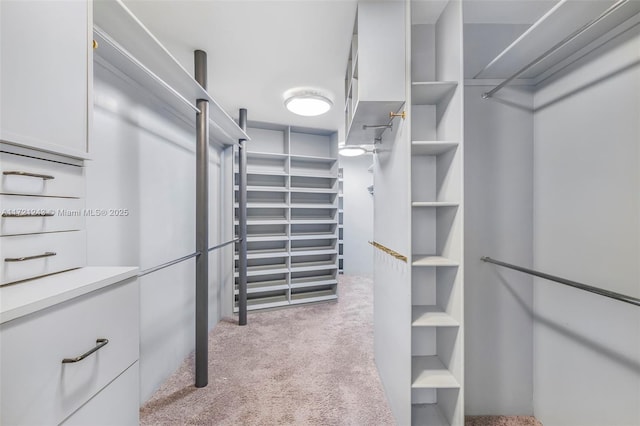 walk in closet with light carpet