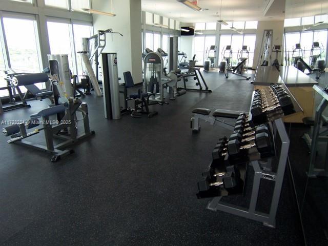 exercise room with a healthy amount of sunlight