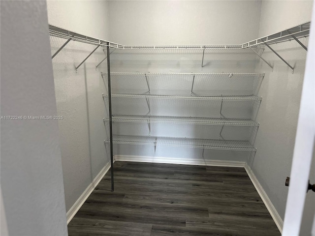 spacious closet featuring dark hardwood / wood-style floors