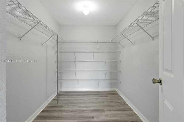 spacious closet with hardwood / wood-style flooring