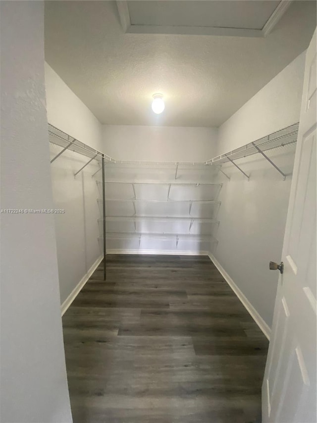 walk in closet with dark wood-type flooring